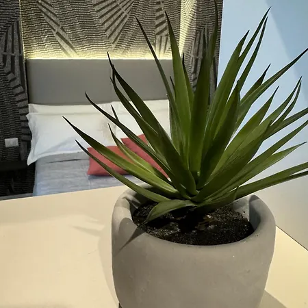 Apartment Mirage *